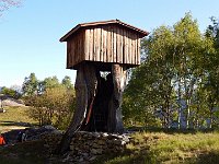 Una capanna sopra un grande albero  DSCN8132