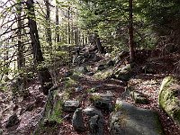 Sentiero Lagua-Grei, bei percorsi nel bosco  DSCN8136