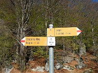 Grei 1180mt  DSCN8138