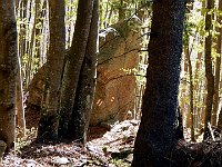 Le precise indicazioni  DSCN8149