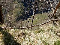 Il sentiero non è più bollato, ma lo si intuisce. E' MOLTO esposto sul lato sinistro  DSCN8152