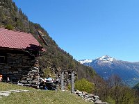 Raggiungiamo l'Alpe Bercogn alle 11:30, siamo piuttosto stanchi e decidiamo di fermarci qui  DSCN8163