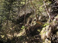 Ora iniza la parte veramente WILD del percorso, ci dirigiamo verso monte per passare il torrente  IMG 0595