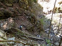 Si attraversa sul tronco chiaro di traverso sul torrente, poi fine del sentiero, tutto franato  IMG 0598