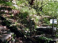 Le indicazioni  DSCN8330