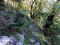 Sentiero e gradini  DSCN8334