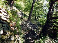 Sentiero a Ruora  DSCN8336