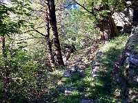 E sempre gradini  DSCN8338