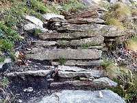 Un grande lavoro  DSCN8340