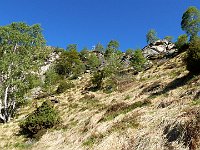 Ma bisogna ancora salire  DSCN8352