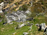 E attendono per ricompattarsi  DSCN8365