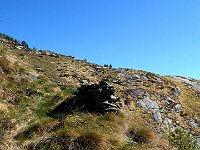 Ometto a Q1500, qui inizia il traverso con lievi saliscendi verso il pianoro che vediamo a destra  DSCN8373