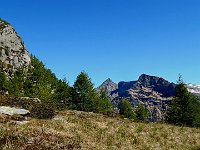 Verso il Poncione di Alnasca  DSCN8382