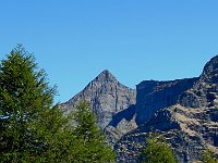 Bellissimo  DSCN8383