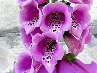 E su questa foto, ci salutiamo!  DSCN8448