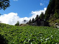 Che bel posto. ATTENZIONE: se manca acqua in capanna, si può attingere a due piccole pozze prendendo il quasi-sentiero che parte a destra-centro foto dove c'e' la pietra piatta e proseguire per 5min circa in piano. Si trova un tubo di plastica che preleva da una pozza superiore, ma c'e' poca acqua  DSCN8495