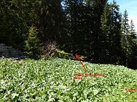 Indicazioni per l'acqua se chiusa in rifugio  DSCN8569