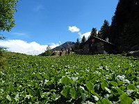 E si scende  DSCN8573