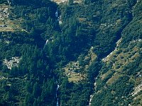 Eccolo nell' angolo a sinistra, a destra il sentiero  DSCN9357