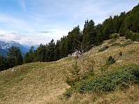 I grandi prati dell' alpeggio  DSCN9361