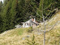 Alpe Piai 1950mt  DSCN9362