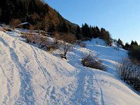 Il primo sole  IMG 0009