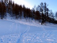 Si prosegue  IMG 0033