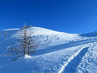 In alto la croce  IMG 0036