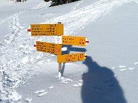 Pian Toi, incrocio di vari sentieri  IMG 0081