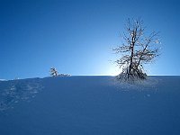 E su questa bella foto, vi salutiamo  IMG 1263
