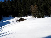 Neve incontaminata  IMG 0124