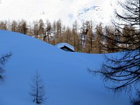 In alto si vede il tetto dell'alpeggio / rifugio  IMG 0152