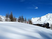 Neve incontaminata  IMG 0162