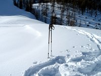 Neve, neve, neve  IMG 0173