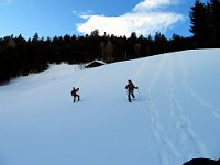 Che pacchia  IMG 0201