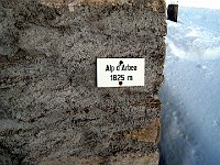 Alpe Arbea 1825mt  IMG 1302