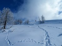 Stupendo scendere in neve fresca  IMG 0369