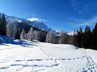 Pian Taioi al ritorno con il sole  IMG 0371