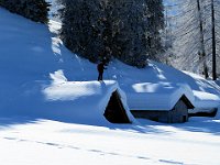 Indovinate chi c'e' sul tetto?  IMG 0374