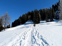 Pian Taioi  IMG 0375