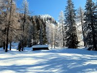 Alpe di Prato  IMG 0386