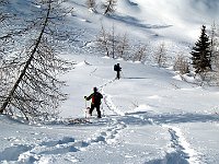 La neve è perfetta  IMG 1378
