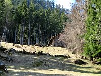 Alpe Pozzou  IMG 0767