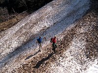 Questa particolarmente lunga  IMG 1524