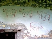 Con una curiosa immagine  IMG 0810