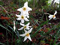 E su questa vi salutiamo  IMG 0825