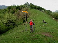 Palina ad Arla  IMG 0839