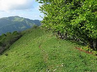 Discesa verso il Prabello  IMG 0846