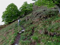 Tratto in piano  IMG 0865