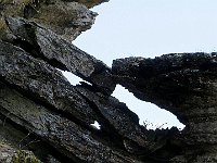 Curiose forme  IMG 0877